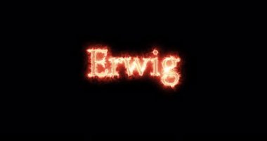 Erwig, king of the Visigoths, written with fire. Loop
