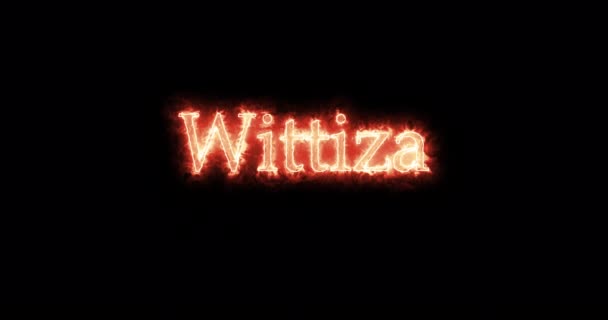 Wittiza King Visigoths Written Fire Loop — Wideo stockowe