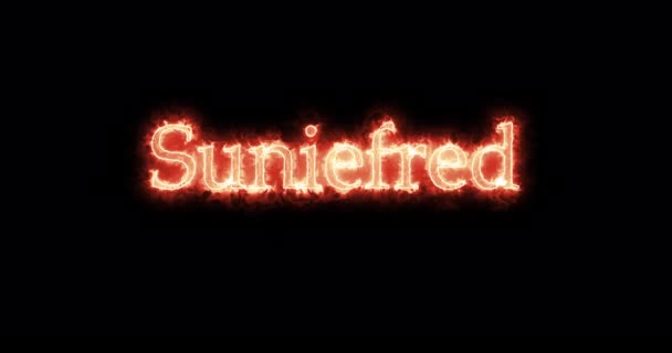Suniefred King Visigoths Written Fire Loop — Stock Video