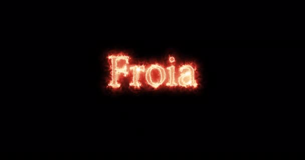 Froia King Visigoths Written Fire Loop — Wideo stockowe