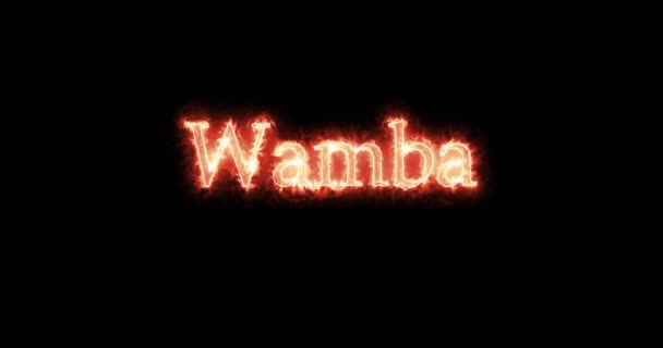 Wamba King Visigoths Written Fire Loop — Video Stock