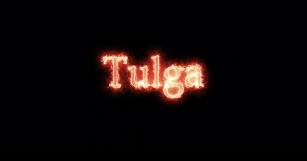 Tulga King Visigoths Written Fire Loop — Stockvideo