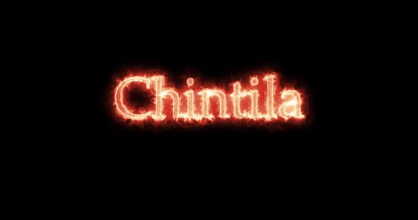 Chintila Koning Van Visigoten Geschreven Met Vuur Lijn — Stockvideo