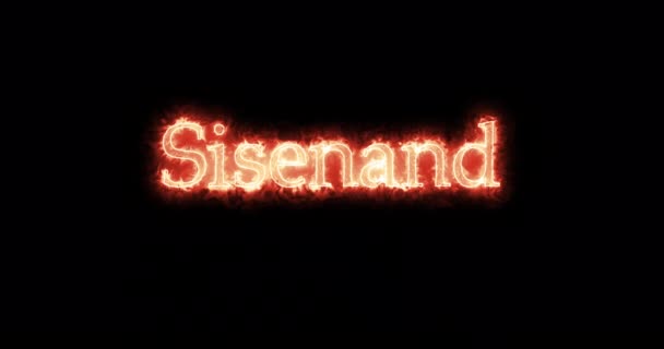 Sisenand King Visigoths Written Fire Loop — Wideo stockowe