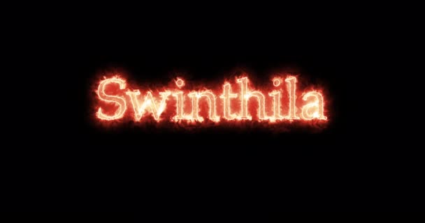 Swinthila King Visigoths Written Fire Loop — Vídeos de Stock