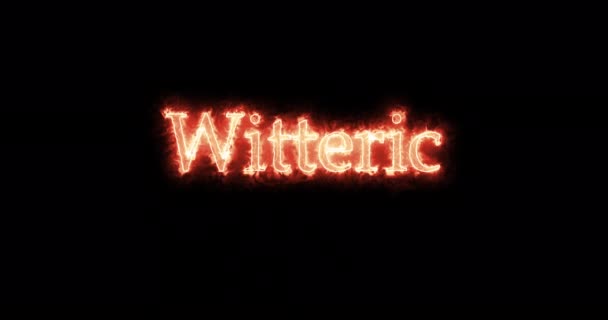 Witteric King Visigoths Written Fire Loop — Stock Video