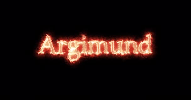Argimund Personage Visigoths Kingdom Written Fire Loop — Stockvideo