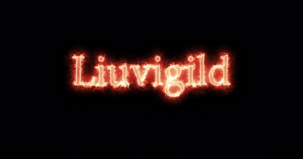 Liuvigild King Visigoths Written Fire Loop — Video Stock