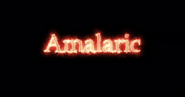 Amalaric King Visigoths Written Fire Loop — Wideo stockowe