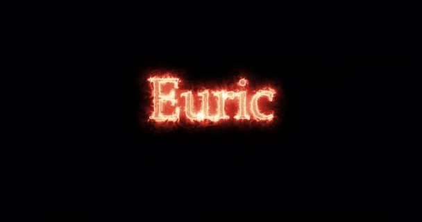 Euric King Visigoths Written Fire Loop — Wideo stockowe