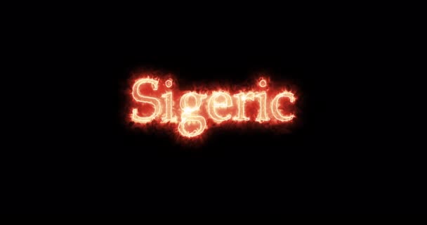 Sigeric King Visigoths Written Fire Loop — Stock Video