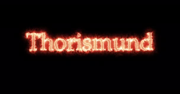 Thorismund King Visigoths Written Fire Loop — Stock videók