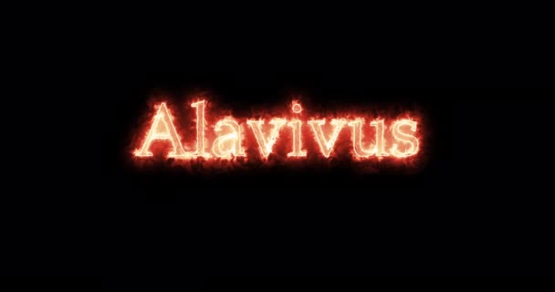 Alavivus Thervingian Gothic King Written Fire Loop — Stockvideo