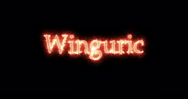 Winguric Thervingian Gothic King Written Fire Loop — Stok video