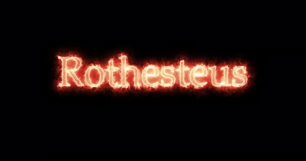 Rothesteus Thervingian Gothic King Written Fire Loop — Vídeos de Stock