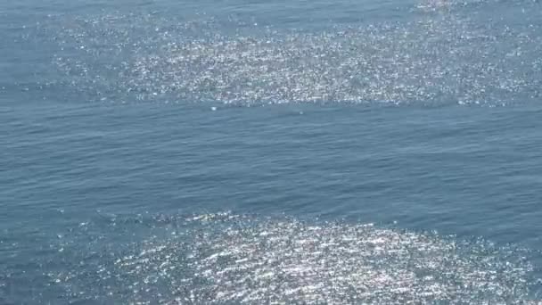 Mer Bleue Avec Des Étincelles Une Journée Ensoleillée — Video