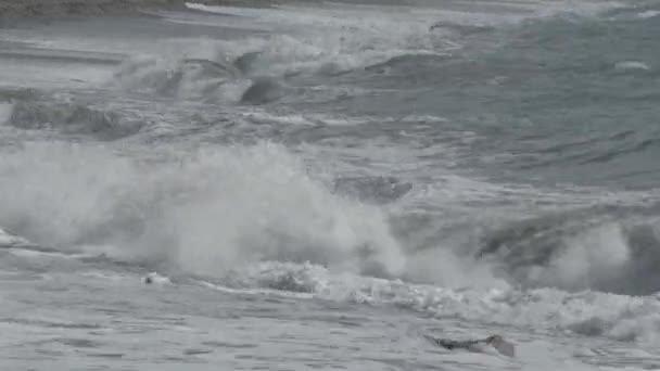 Σκληρά Κύματα Θάλασσας Που Φθάνουν Λευκό Αφρό — Αρχείο Βίντεο