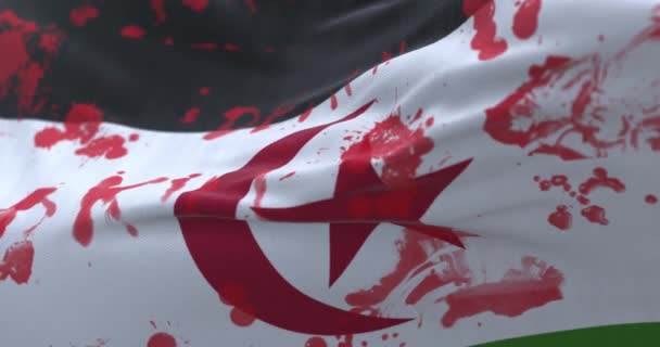 Sahara Vlag Met Bloed Woorden Geschreven Lijn — Stockvideo