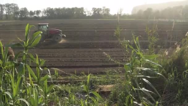 Tractor Granja Arando Tierra Atardecer Inclinación — Vídeo de stock