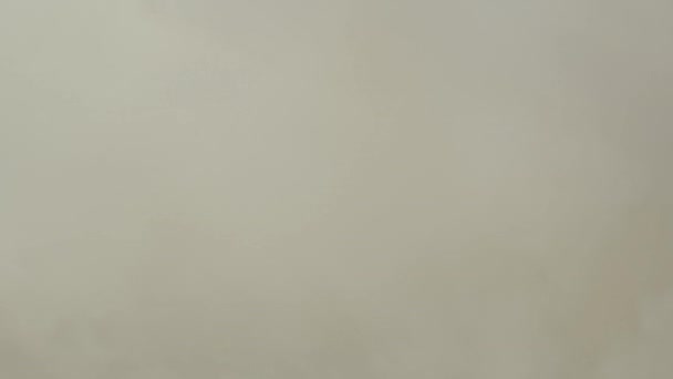 大火中的大白烟 — 图库视频影像