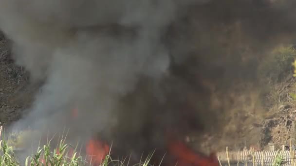 黑烟柱在真正的火堆中燃烧 — 图库视频影像