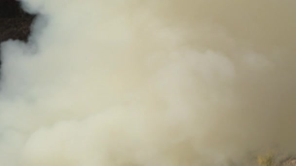 Branco Espessa Coluna Fumaça Subindo Fogo Real — Vídeo de Stock
