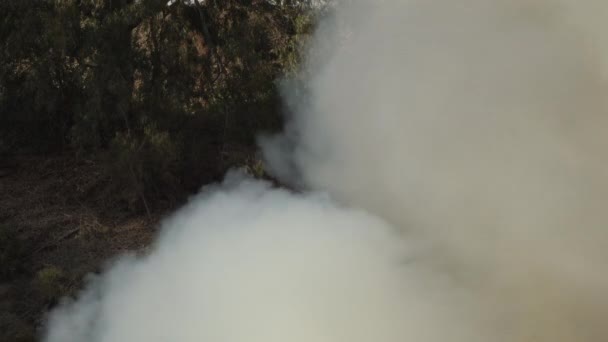 Fumul Alb Gros Urcă Într Foc Adevărat — Videoclip de stoc