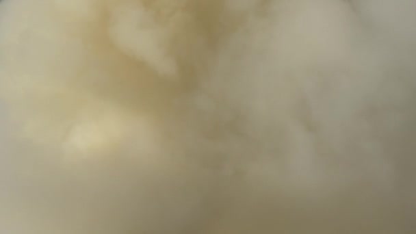 Большая Белая Дымовая Колонна Поднимается Настоящий Огонь — стоковое видео