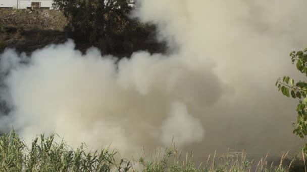 白色的烟柱在真正的火堆中升起 — 图库视频影像