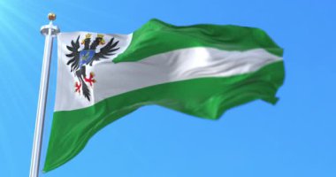 Ukrayna, Chernihiv Oblastı bayrağı. Döngü