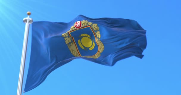 Bandera Del Óblast Cherkasy Ucrania Bucle — Vídeo de stock