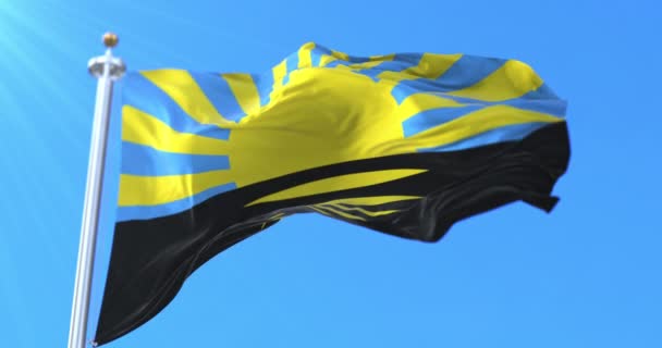 Bandera Del Óblast Donetsk Ucrania Bucle — Vídeo de stock