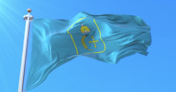 Bandera Sumy Oblast Ucrania Bucle — Vídeo de stock