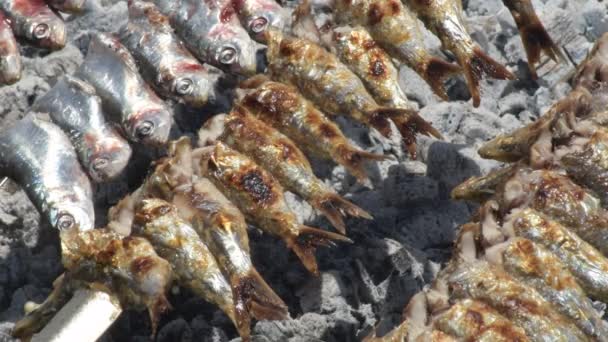 Сардины Espetos Гриле Огня Типичная Испанская Еда — стоковое видео