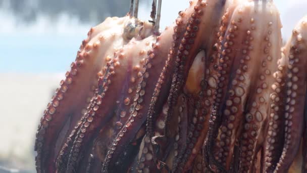 Bläckfiskben Rökta Grill Strandbar Solig Dag — Stockvideo