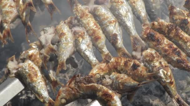 Sardynki Grilla Typowe Hiszpańskie Jedzenie Wybrzeżu — Wideo stockowe