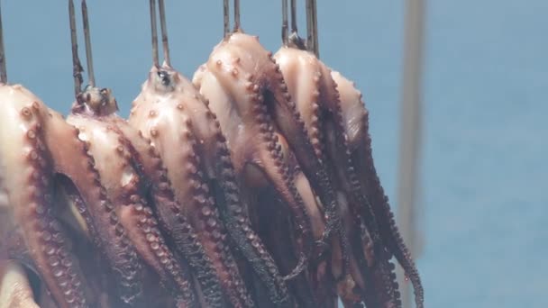 Grilled Octopus Legs Smoked Barbecue Beach Bar Sunny Day — Stock Video
