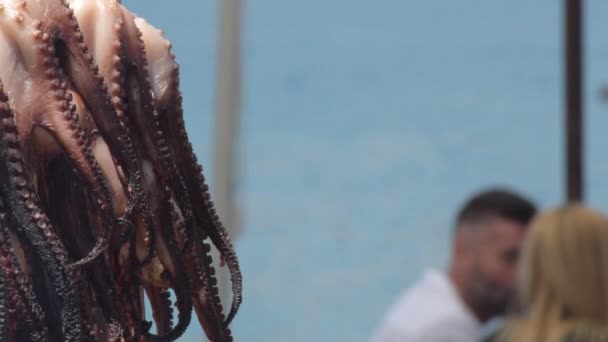 户外餐馆烤肉时烤的章鱼腿 — 图库视频影像