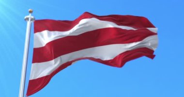 Hırvatistan 'ın Varazdin kenti bayrağı. Döngü