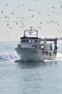 Balıkçı gemisi, kuşlar uçuşurken limana giriyor.
