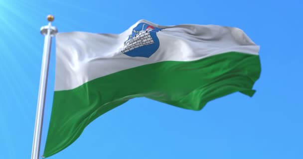 Σημαία Της Κομητείας Ida Viru Εσθονία Βρόχος — Αρχείο Βίντεο
