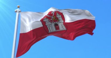 Estonya, Tartu şehrinin bayrağı. Döngü