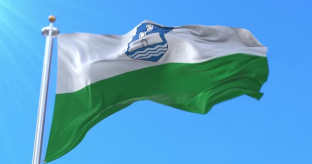 Bandera Del Condado Jarva Estonia Bucle — Vídeo de stock