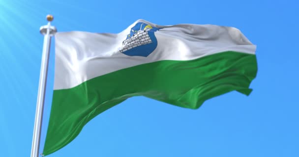 爱沙尼亚Laane Viru县的国旗 — 图库视频影像