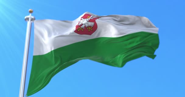 Bandera Del Condado Laane Estonia Bucle — Vídeo de stock
