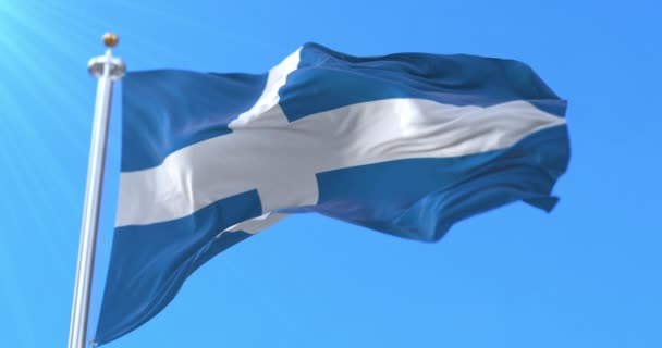 Flaga Miasta Parnu Estonia Pętla — Wideo stockowe