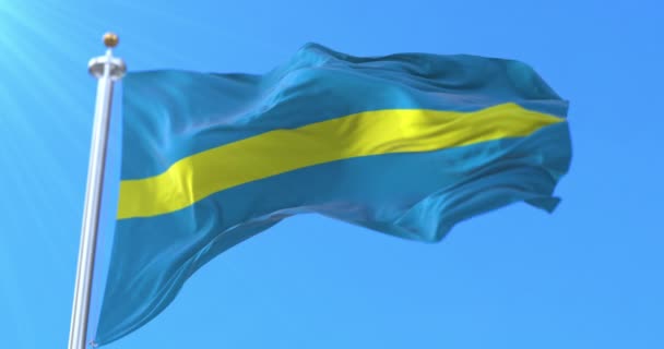 Σημαία Της Πόλης Rakvere Εσθονία Βρόχος — Αρχείο Βίντεο