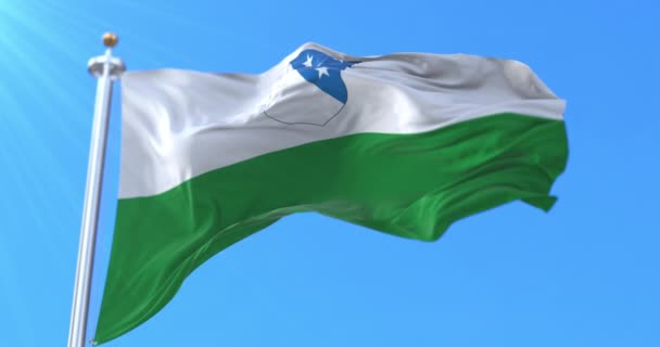 Bandera Del Condado Valga Estonia Bucle — Vídeo de stock