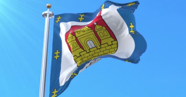 Litvanya Nın Klaipeda Ilçesi Bayrağı Döngü — Stok video