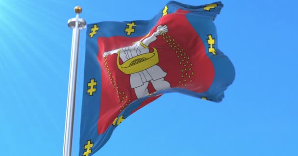 Bandera Del Condado Marijampole Lituania Bucle — Vídeos de Stock